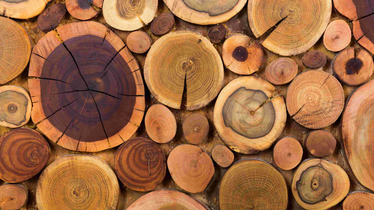 Ceny drewna kominkowego rosną w lutym - czy pellet jest winny?