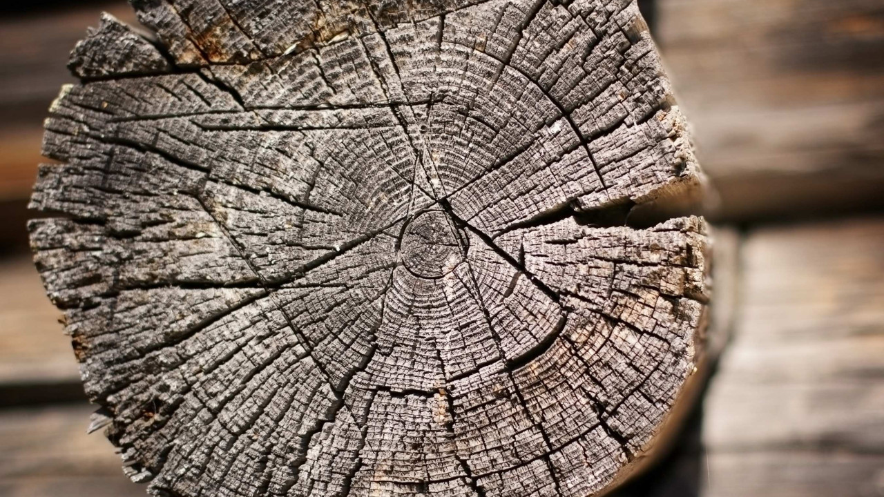 To drewno traci nawet 30% ciepła podczas spalania