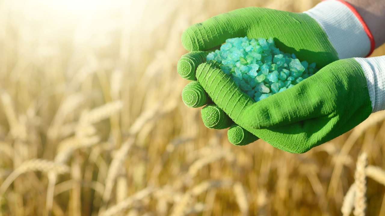 "Naturalne nawożenie: Jak posiać, by gleba użyźniła się sama"