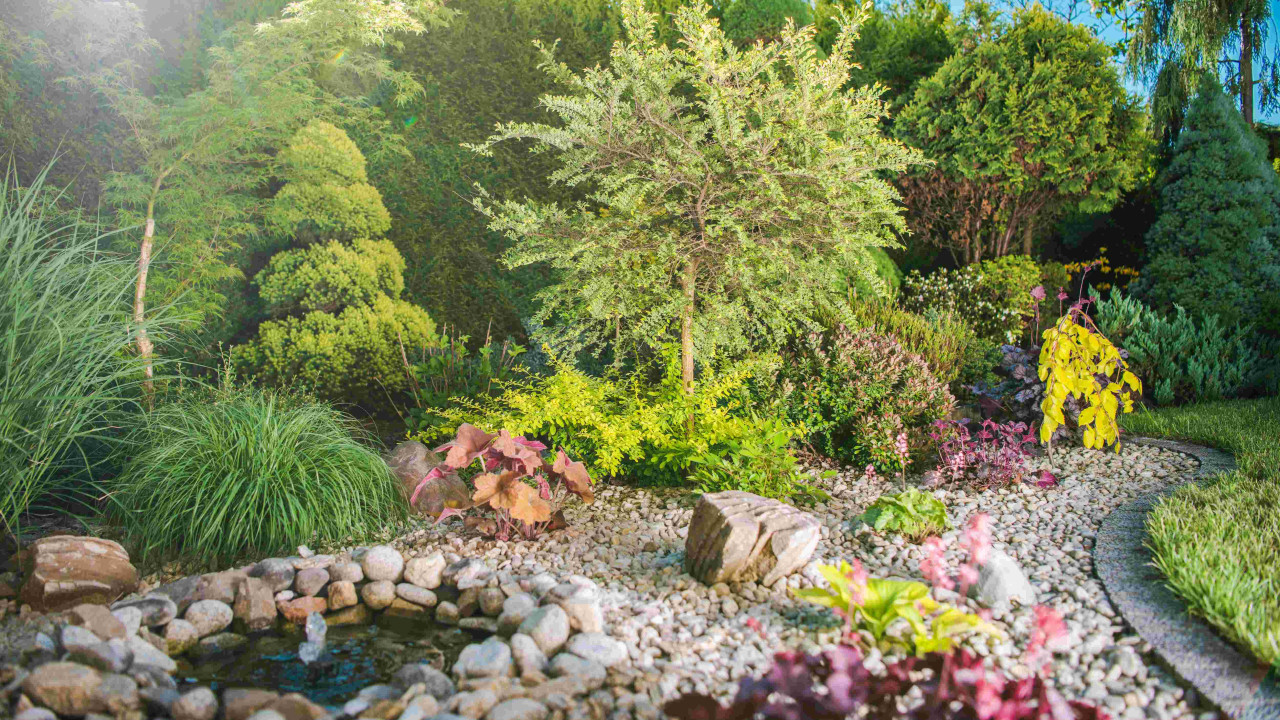 Nowa Deccoria.pl: bliżej domu i ogrodu Polaków