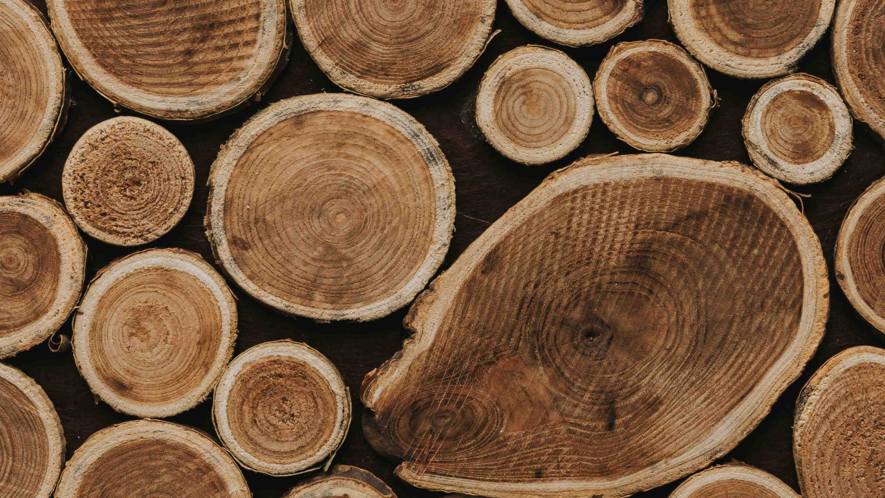 Niebezpieczne drewno do kominka: szybki przyrost sadzy w kominie