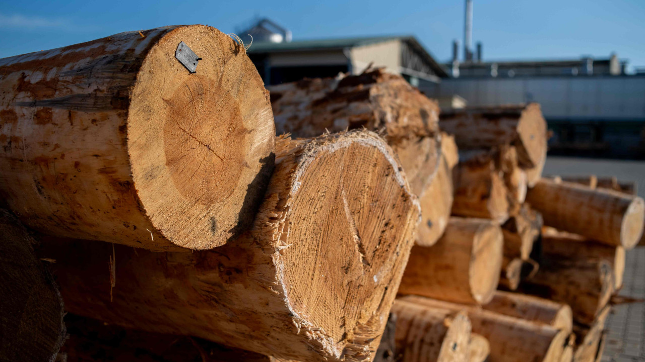 Niebezpieczne drewno: Polacy wciąż niszczą kominy