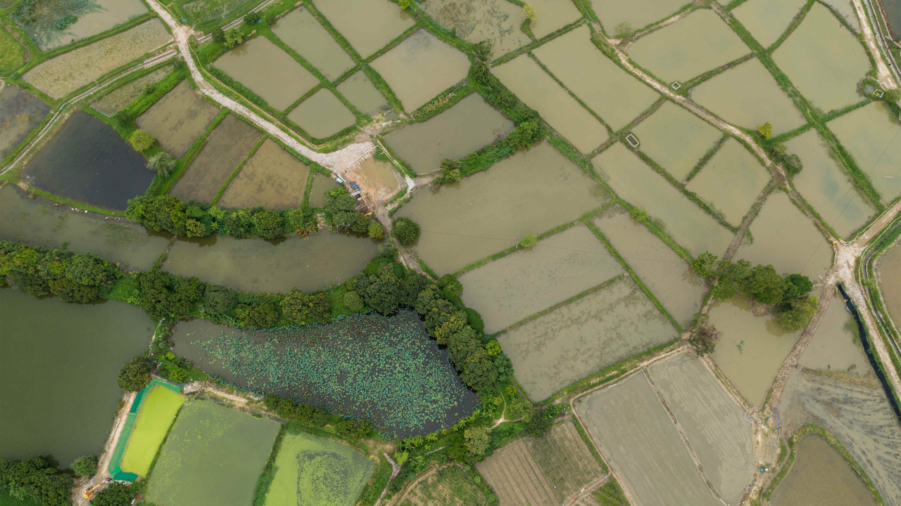 Działka marzeń zablokowana przez błąd urzędników: Co poszło nie tak?