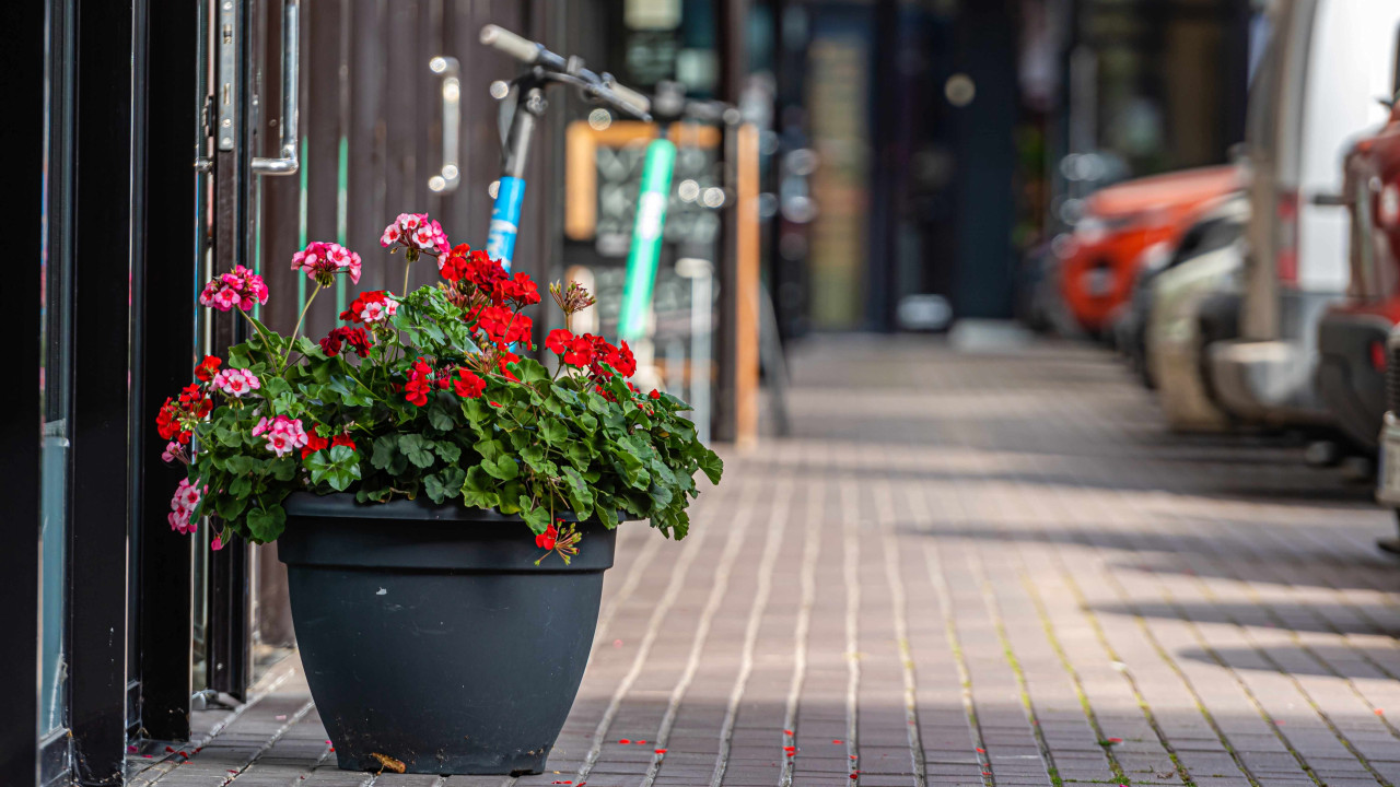 Nowe donice w stolicy dzięki interwencji mieszkańca. Która ulica następna