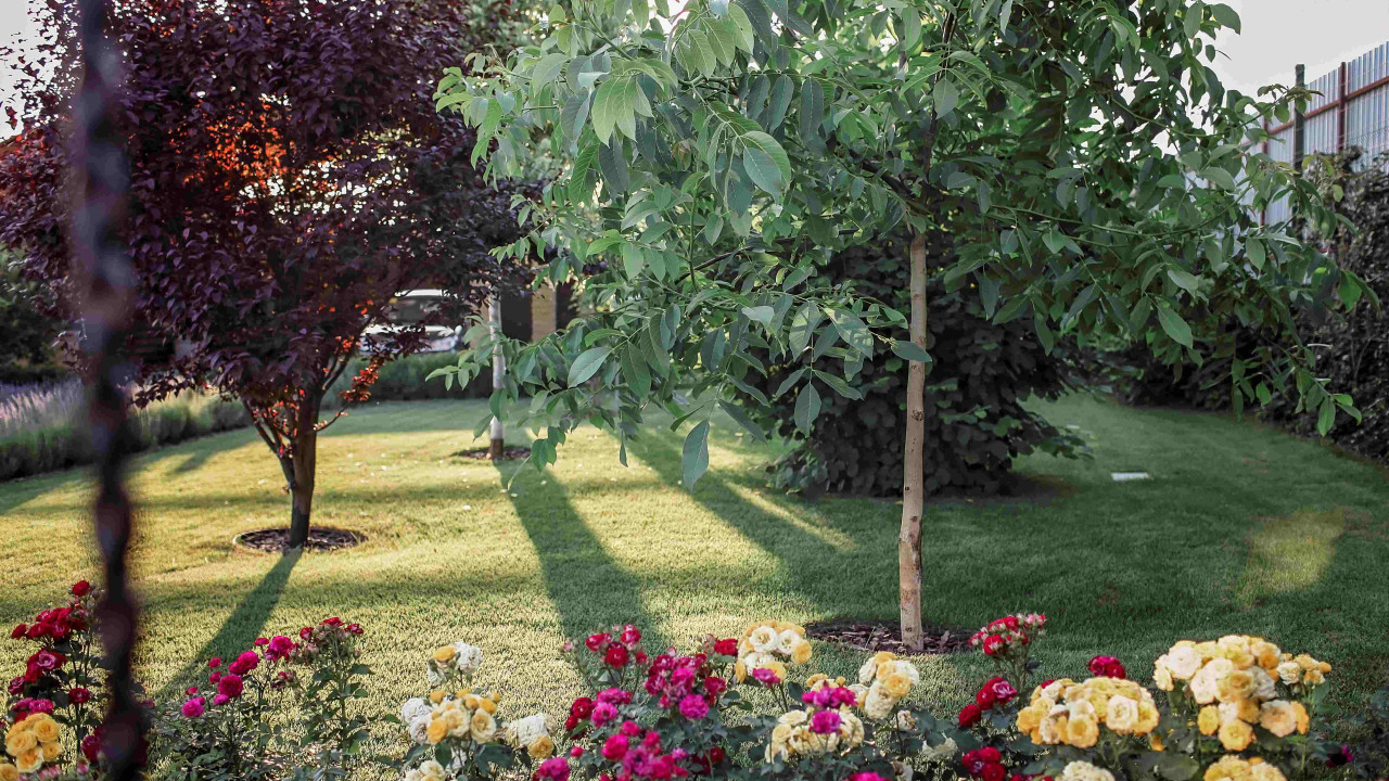 Niezbędnik ogrodnika: naturalny sposób na lepszą glebę
