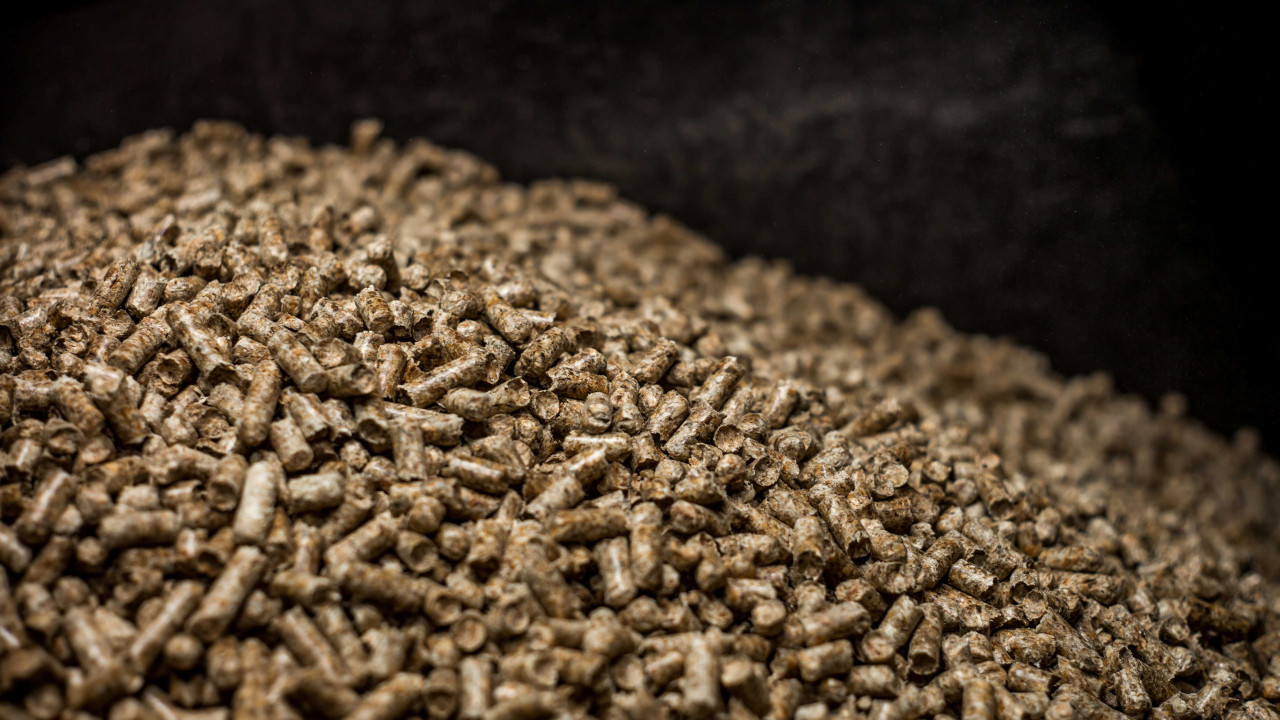 Z czego naprawdę powstaje pellet? Poznaj nieoczywiste surowce