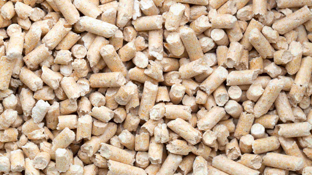 Pellet czy drewno opałowe: co bardziej opłacalne do ogrzania domu?