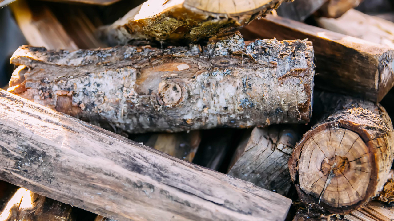 Nowy trend: Polacy wybierają inne drewno zamiast dębu i grabu