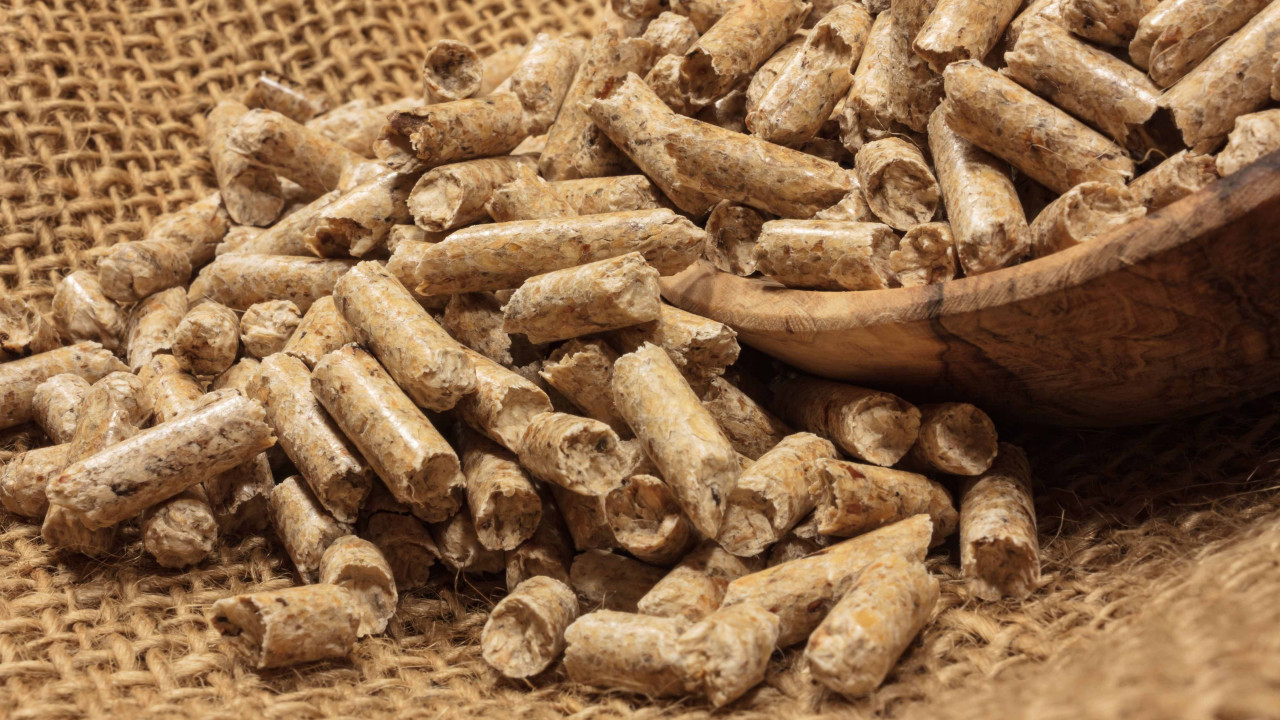 Pellet iglasty czy liściasty? Wybór, który robi różnicę