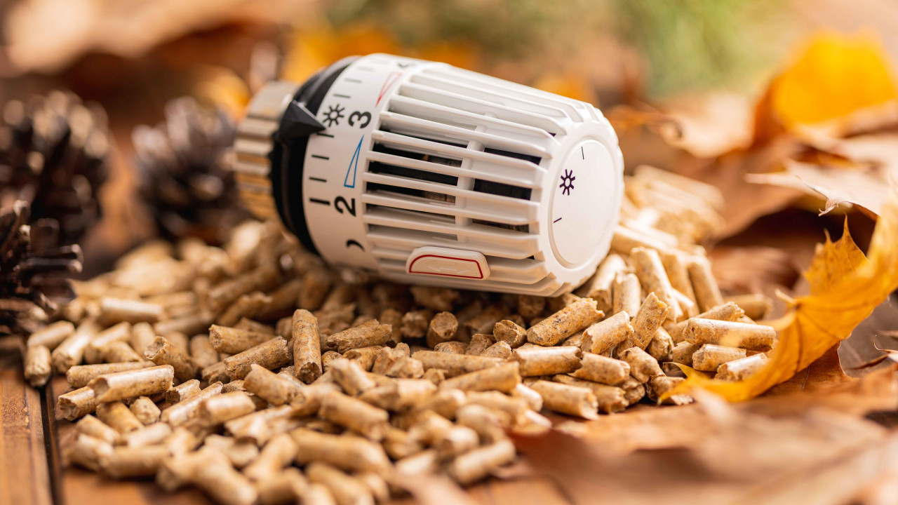 Pellet iglasty vs liściasty: sprawdź różnice energetyczne