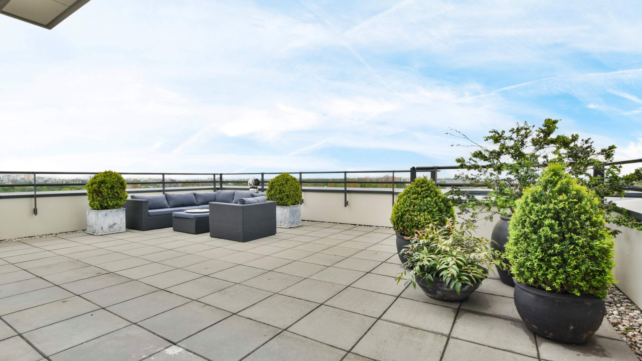 Wiosenne odkrycie: Rysy na tarasie po zimowych opadach