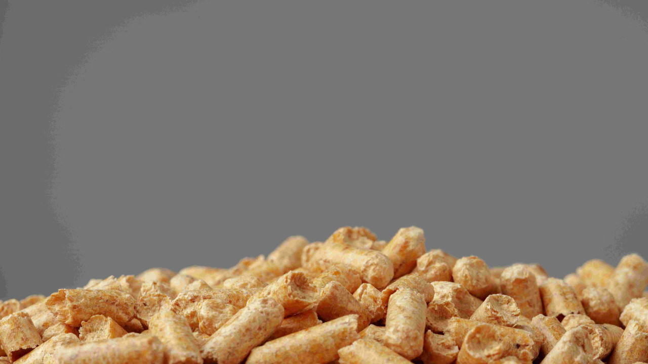pellet