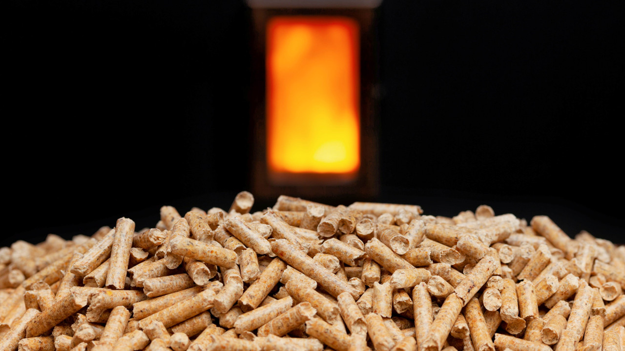 pellet