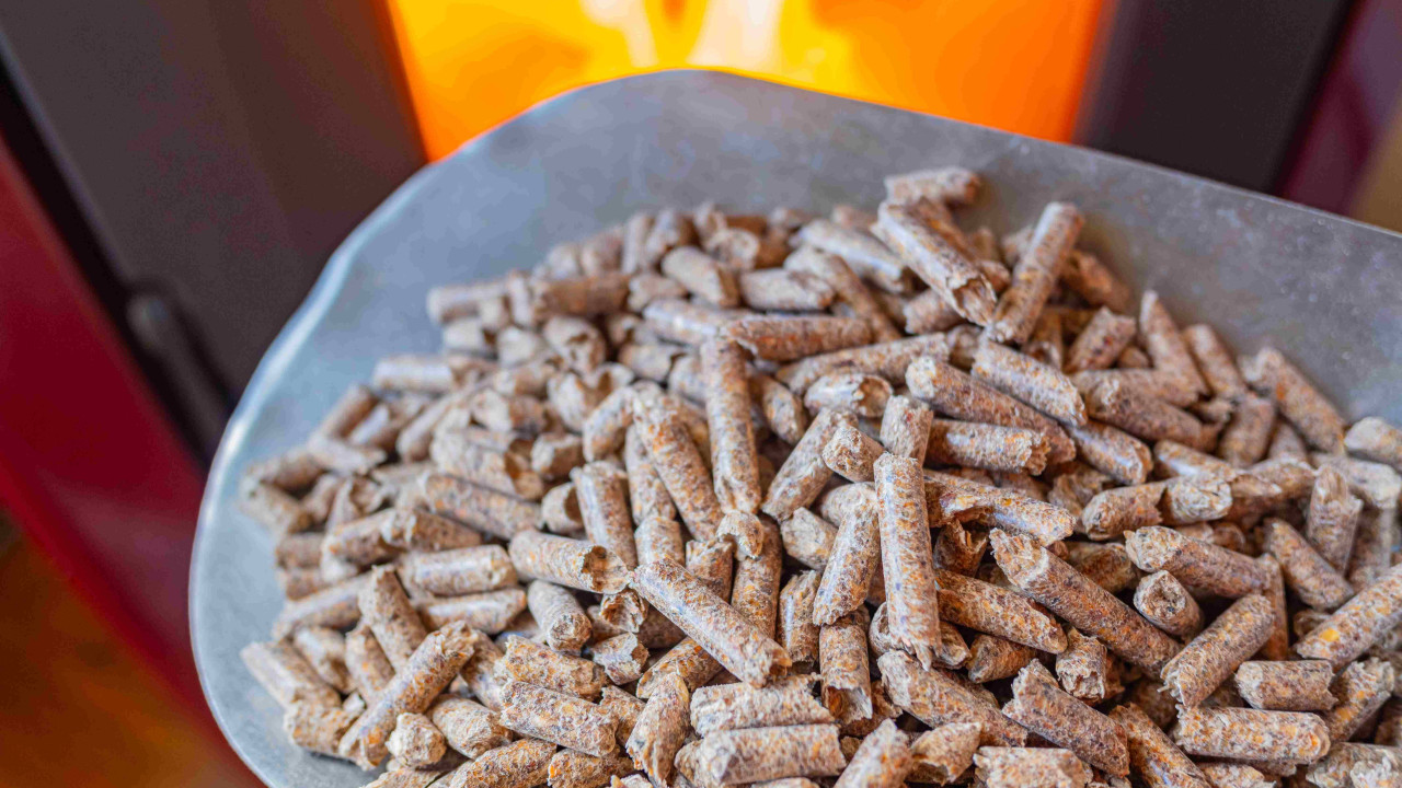 pellet