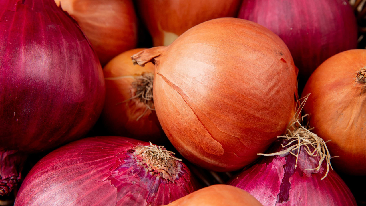 onion