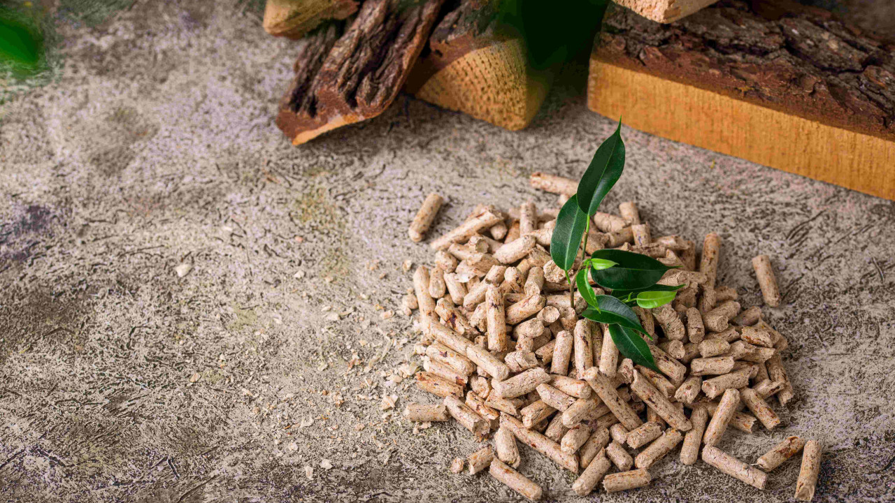 pellet