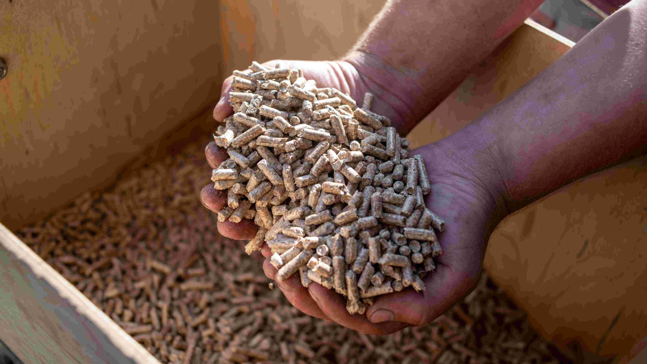 pellet