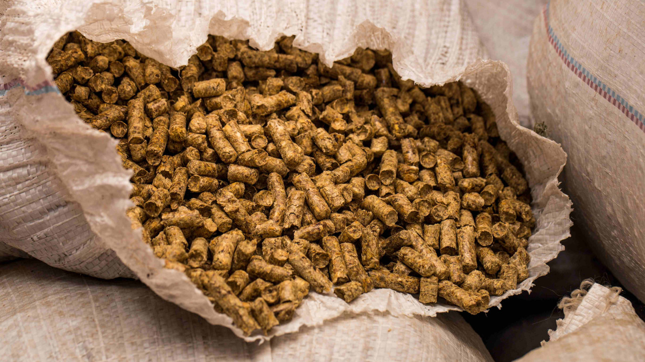 worek pelletu