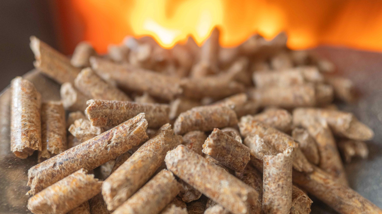 pellet