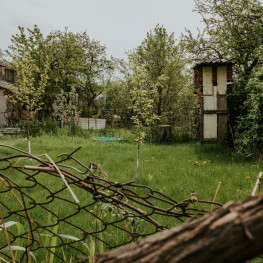 Naturalny bałagan w ogrodzie: Dlaczego warto zostawić liście i gałęzie