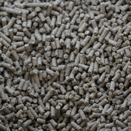 Zaskakująca prognoza cen pelletu na zimę: Co nas czeka?
