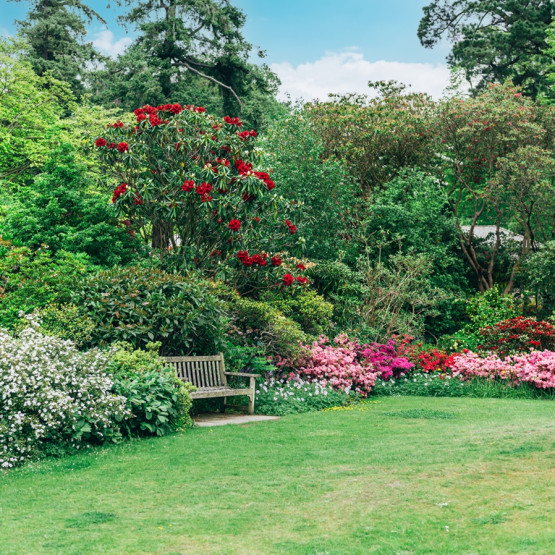 Fot. Garden