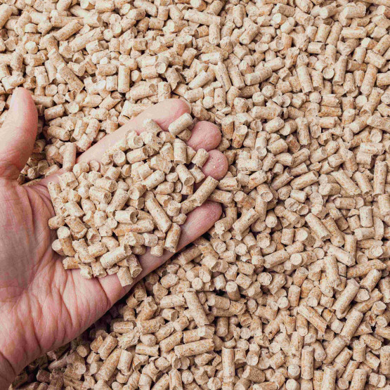 pellet
