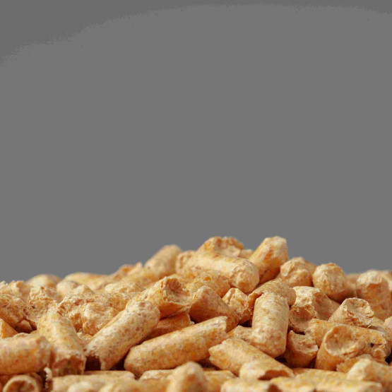 pellet