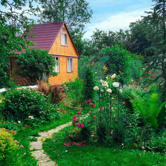 rośliny