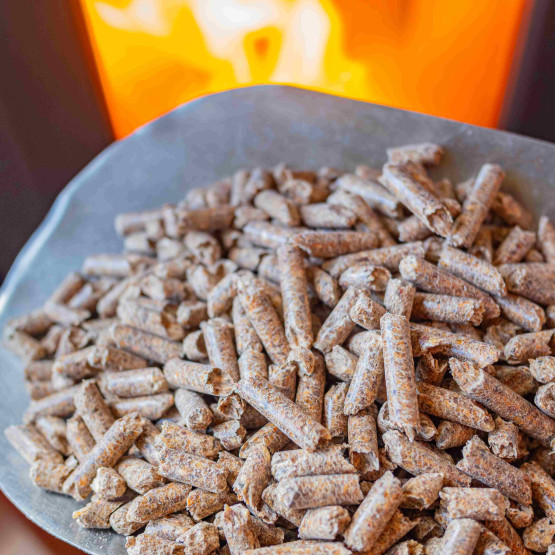 pellet