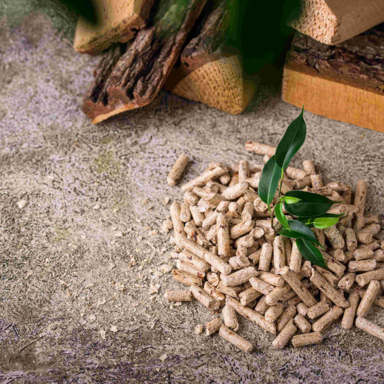 pellet